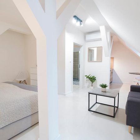 Apartamento Apartmán Jungmann U Zlaté hvězdy Litoměřice Exterior foto