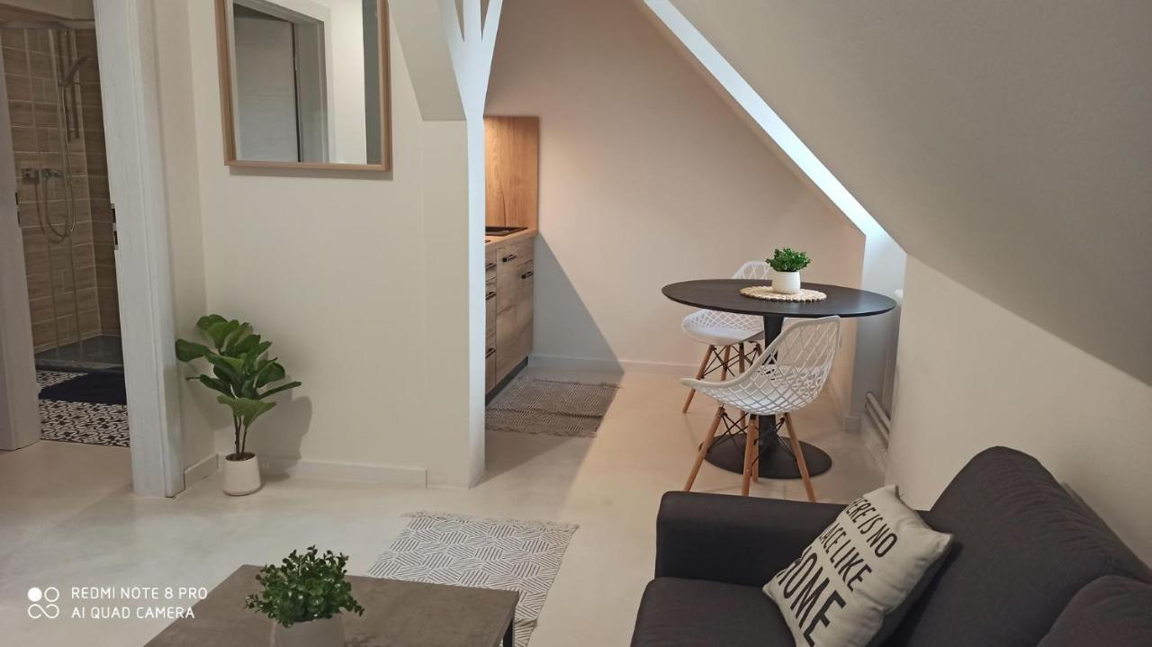 Apartamento Apartmán Jungmann U Zlaté hvězdy Litoměřice Exterior foto
